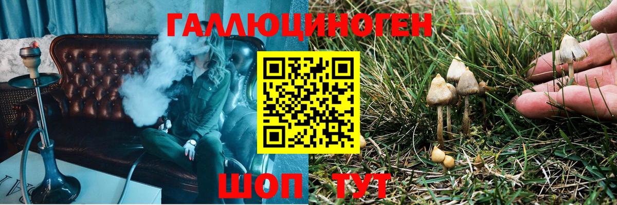 Мыски  Галлюциногенные грибы Magic Shrooms  даркнет сайт  Галлюциногенные грибы MAGIC MUSHROOMS  Вход с VPN 